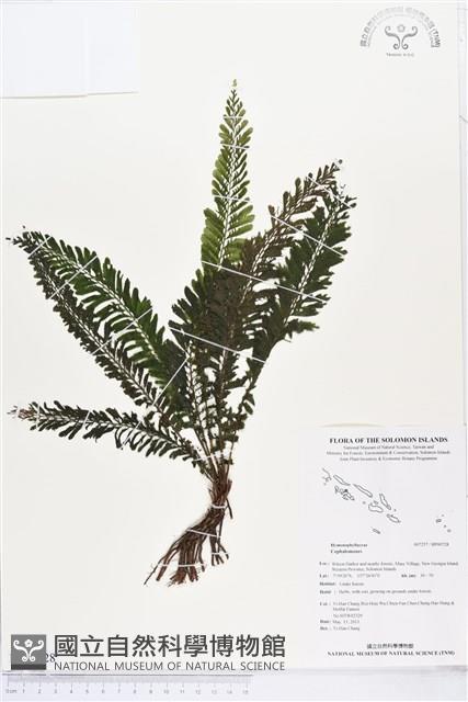 登錄號:BP00728藏品圖，第1張