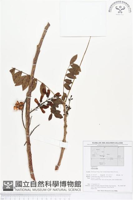 登錄號:BS01728藏品圖，第1張