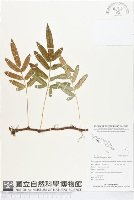 Accession Number:BP00928 Collection Image