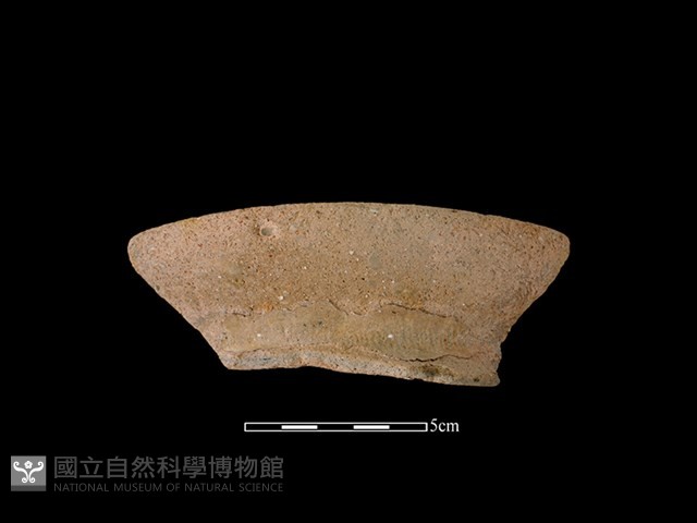 陶罐藏品圖，第1張