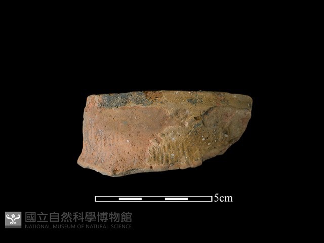 陶罐藏品圖，第1張
