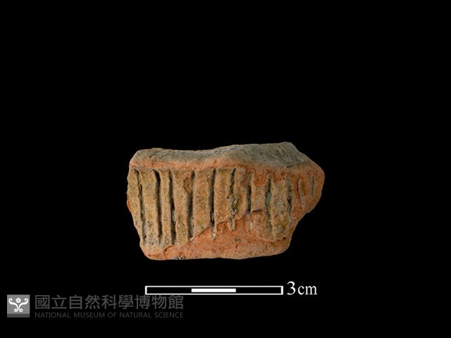 連杯形器藏品圖，第1張