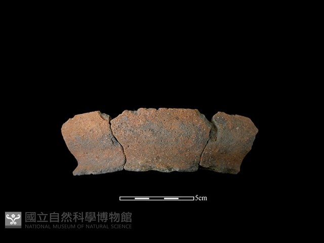 陶罐藏品圖，第1張