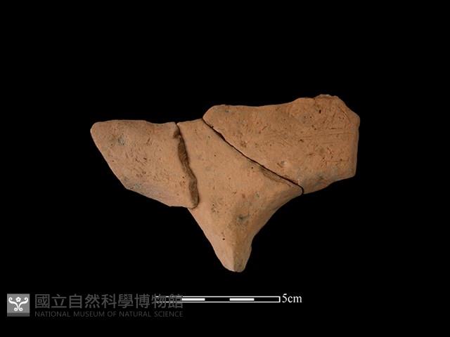 連杯形器藏品圖，第1張