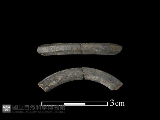 陶環藏品圖，第1張