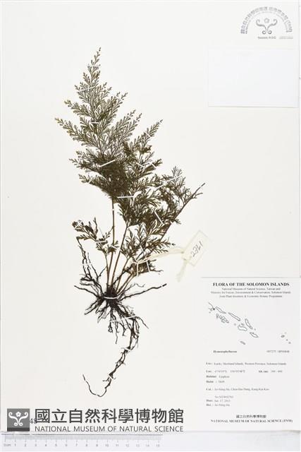 Accession Number:BP00848 Collection Image