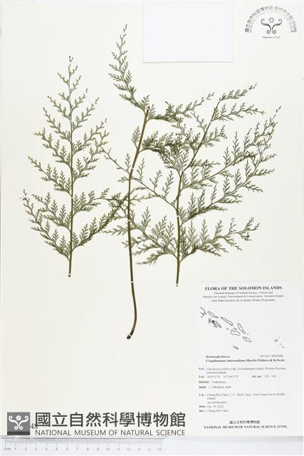 登錄號:BP00448藏品圖，第1張