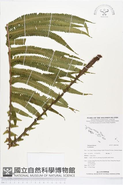 登錄號:BP00748藏品圖，第1張