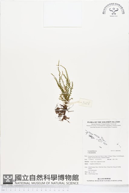 登錄號:BP00548藏品圖，第1張