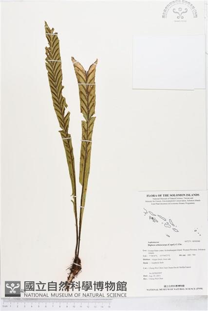 登錄號:BP00948藏品圖，第1張