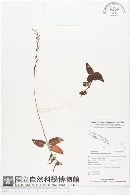 登錄號:BS01948藏品圖，第1張