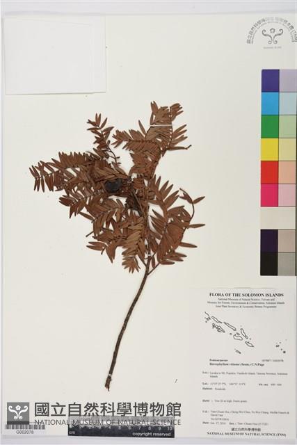 登錄號:G002078藏品圖，第1張