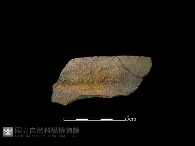 陶罐藏品圖，第1張