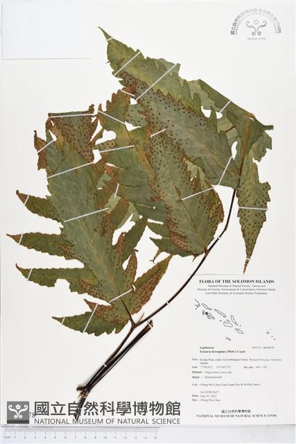 登錄號:BP00978藏品圖，第1張