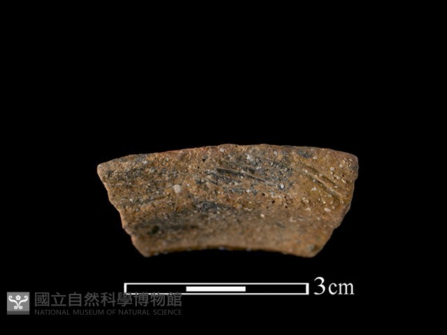 帶紋飾陶片藏品圖，第1張