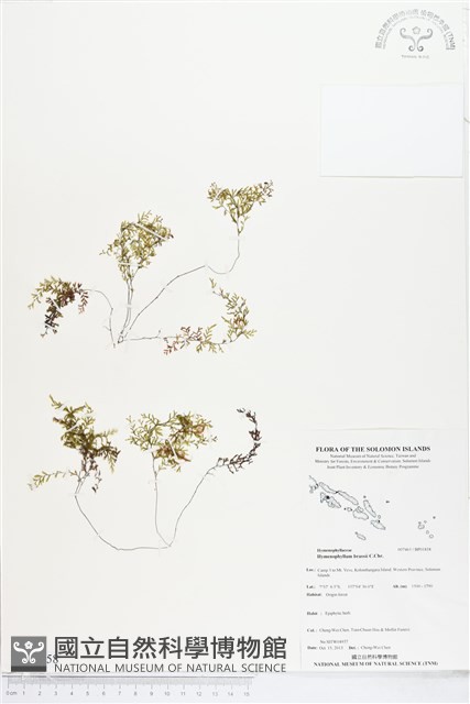 登錄號:BP01858藏品圖，第1張