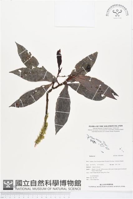 登錄號:BS01858藏品圖，第1張