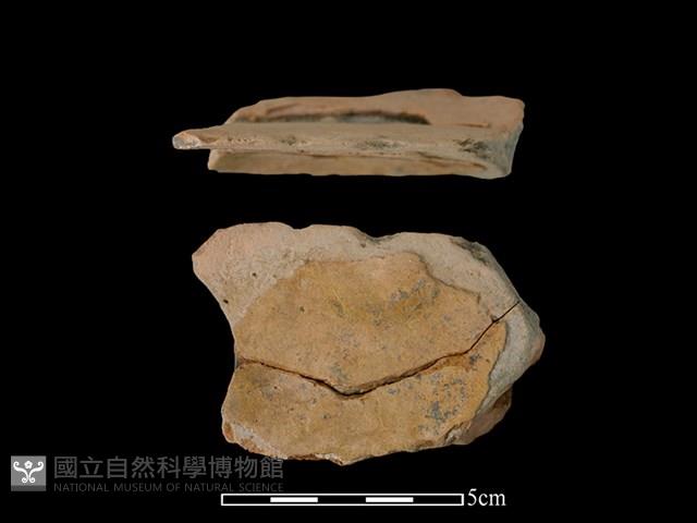 連杯形器藏品圖，第1張