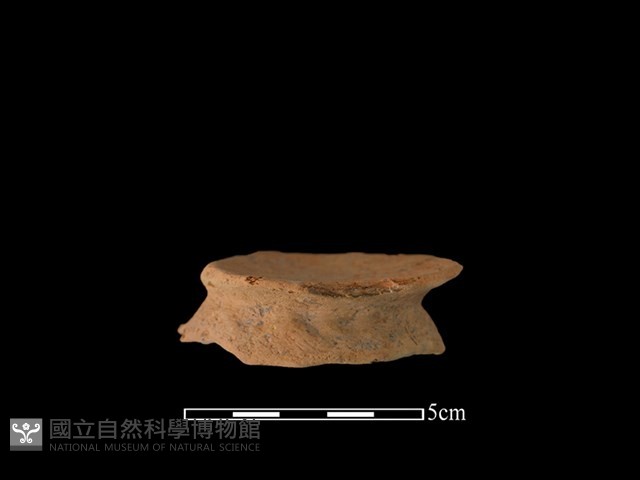陶缽藏品圖，第1張