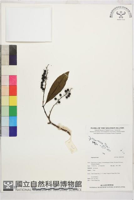 登錄號:BS01958藏品圖，第1張