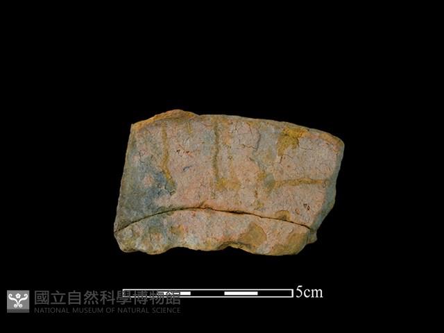 連杯形器藏品圖，第1張