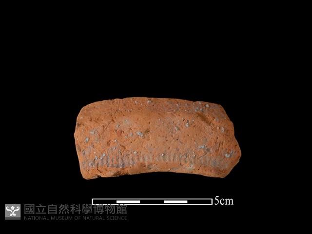 陶罐藏品圖，第1張