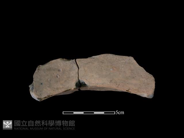 連杯形器藏品圖，第1張