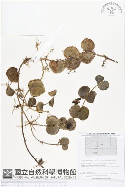 登錄號:BS01618藏品圖，第1張