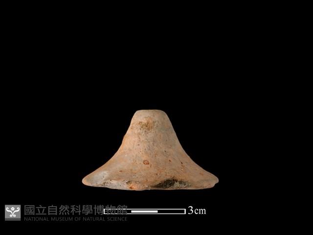 紡輪藏品圖，第1張