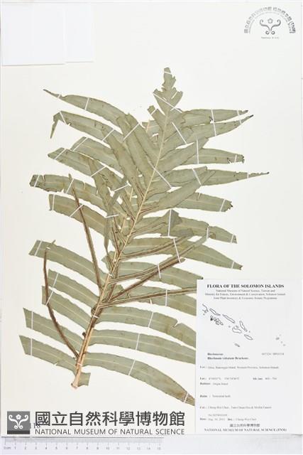 登錄號:BP01118藏品圖，第1張