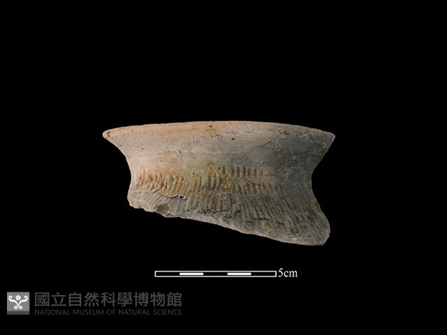 陶罐藏品圖，第1張