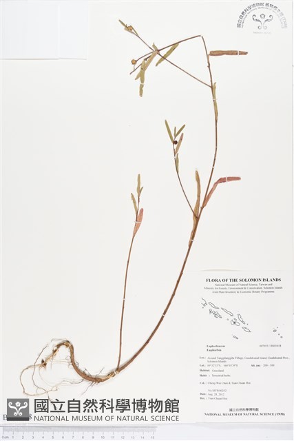 登錄號:BS01418藏品圖，第1張