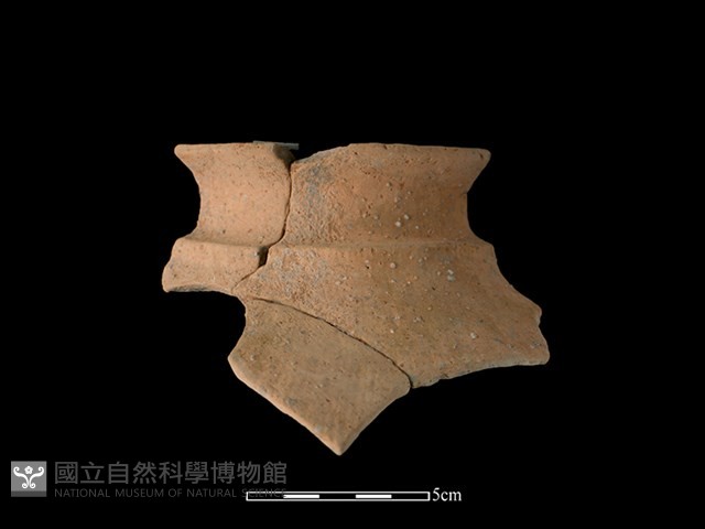 陶罐藏品圖，第1張