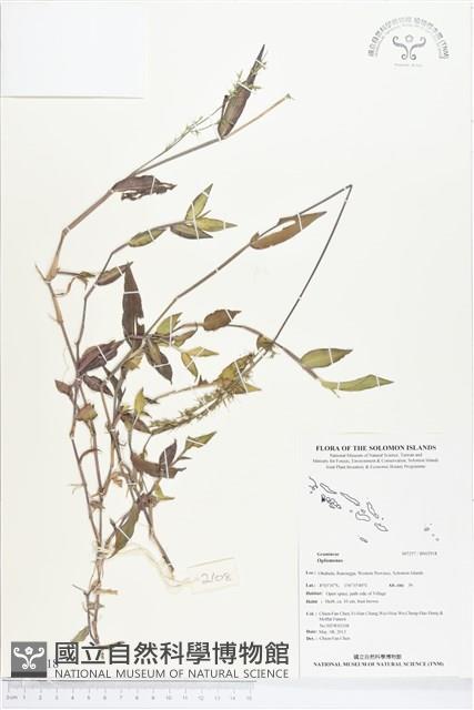 登錄號:BS02918藏品圖，第1張