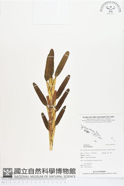 登錄號:BS01918藏品圖，第1張