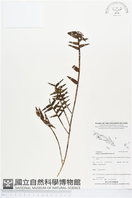 登錄號:BS03918藏品圖，第1張