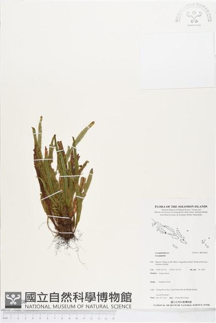 登錄號:BP01808藏品圖，第1張