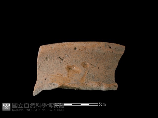 陶罐藏品圖，第1張