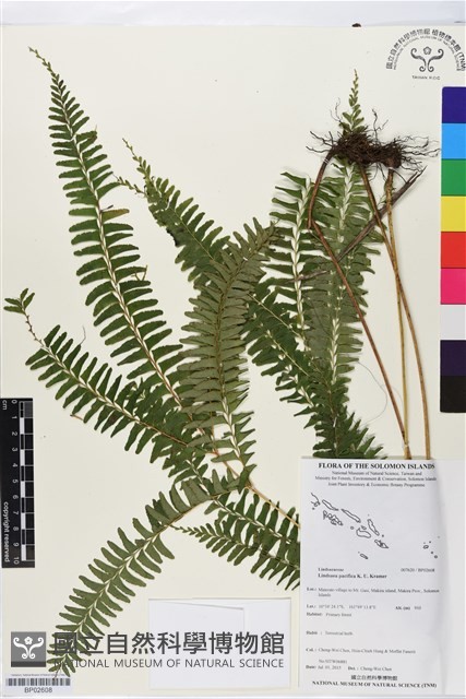 登錄號:BP02608藏品圖，第1張