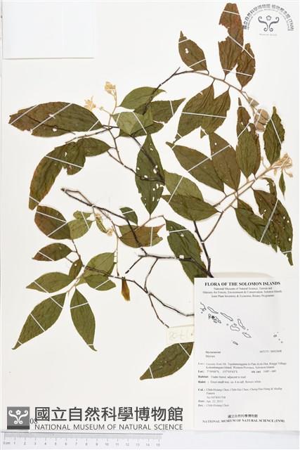 登錄號:BS02608藏品圖，第1張