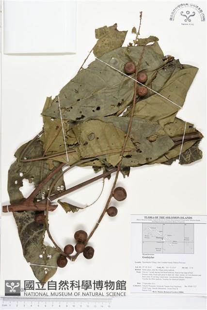 登錄號:BS01608藏品圖，第1張