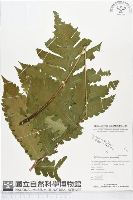登錄號:BP00108藏品圖，第1張
