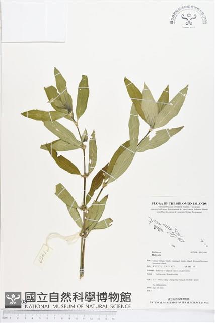 登錄號:BS02408藏品圖，第1張