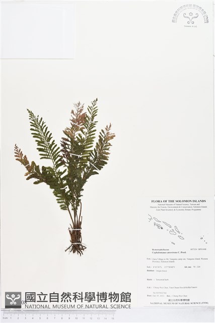 登錄號:BP01408藏品圖，第1張