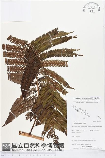 登錄號:BP01208藏品圖，第1張