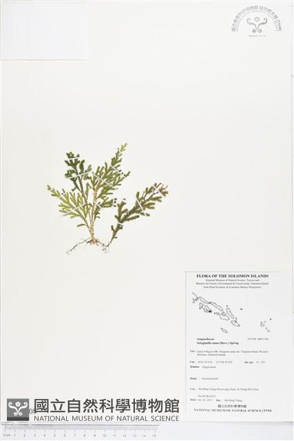 登錄號:BP01708藏品圖，第1張