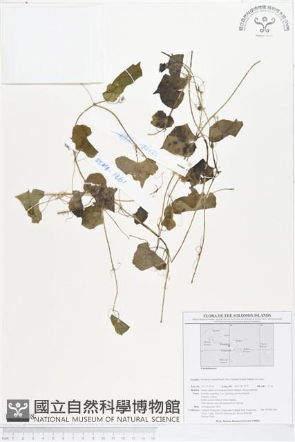 登錄號:BS01708藏品圖，第1張