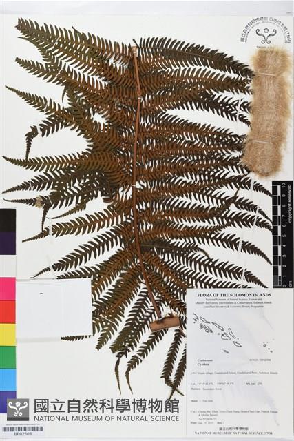 登錄號:BP02508藏品圖，第1張