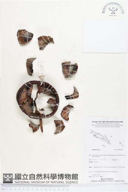 登錄號:BS02508藏品圖，第1張