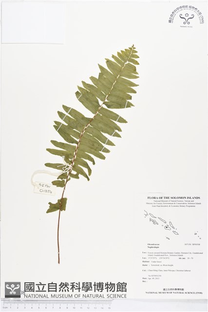 登錄號:BP00508藏品圖，第1張